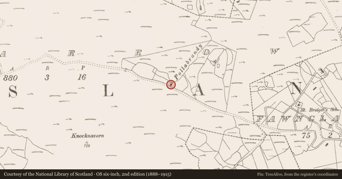 Ordnance Survey six-inch map, 2nd edition (1888–1915) covering the location of Fulacht fia, Lecarrow, County Mayo, with a pin at the register's coordinates