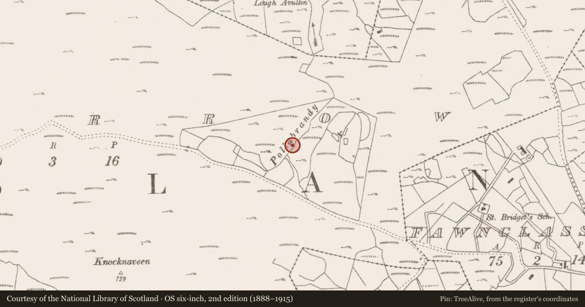 Ordnance Survey six-inch map, 2nd edition (1888–1915) covering the location of Fulacht fia, Lecarrow, County Mayo, with a pin at the register's coordinates