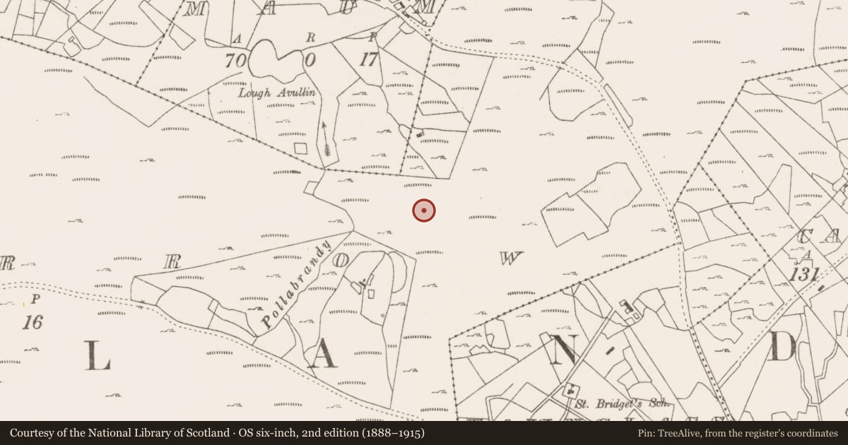 Ordnance Survey six-inch map, 2nd edition (1888–1915) covering the location of Fulacht fia, Lecarrow, County Mayo, with a pin at the register's coordinates