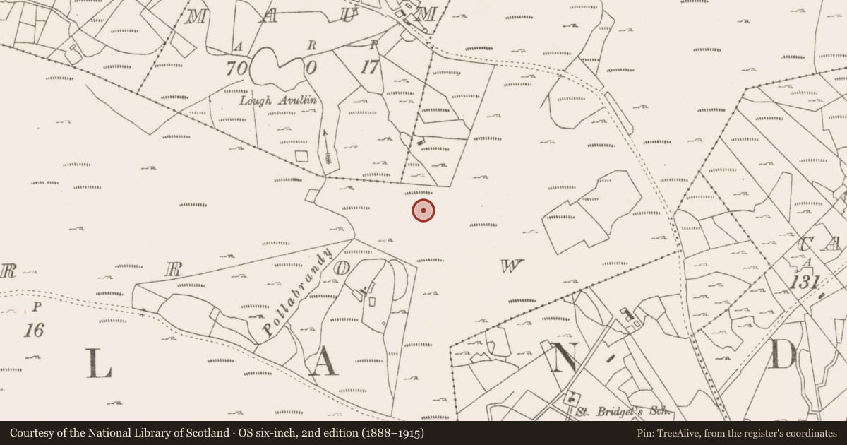 Ordnance Survey six-inch map, 2nd edition (1888–1915) covering the location of Fulacht fia, Lecarrow, County Mayo, with a pin at the register's coordinates