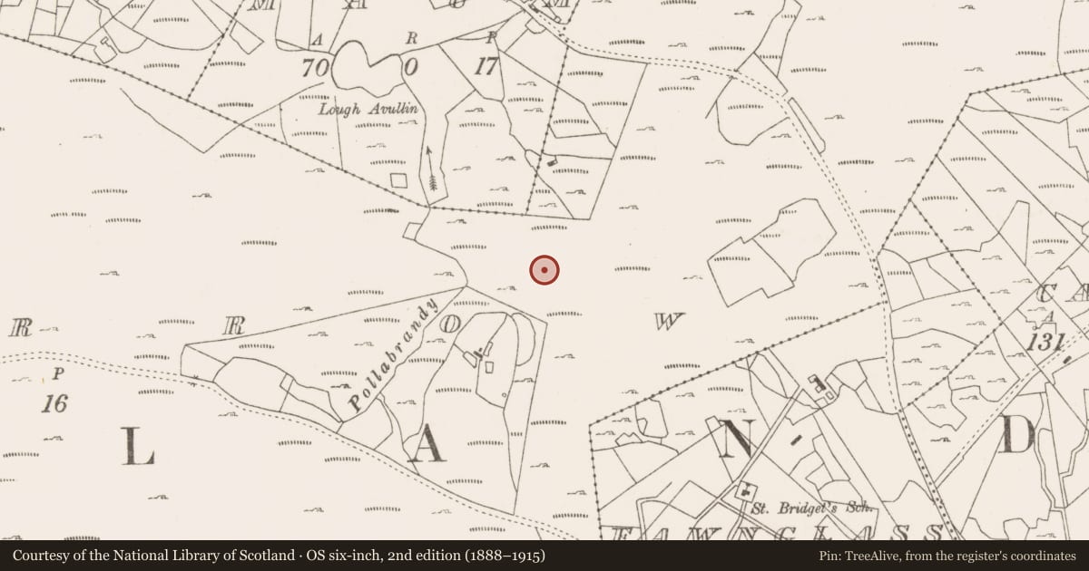 Ordnance Survey six-inch map, 2nd edition (1888–1915) covering the location of Fulacht fia, Lecarrow, County Mayo, with a pin at the register's coordinates