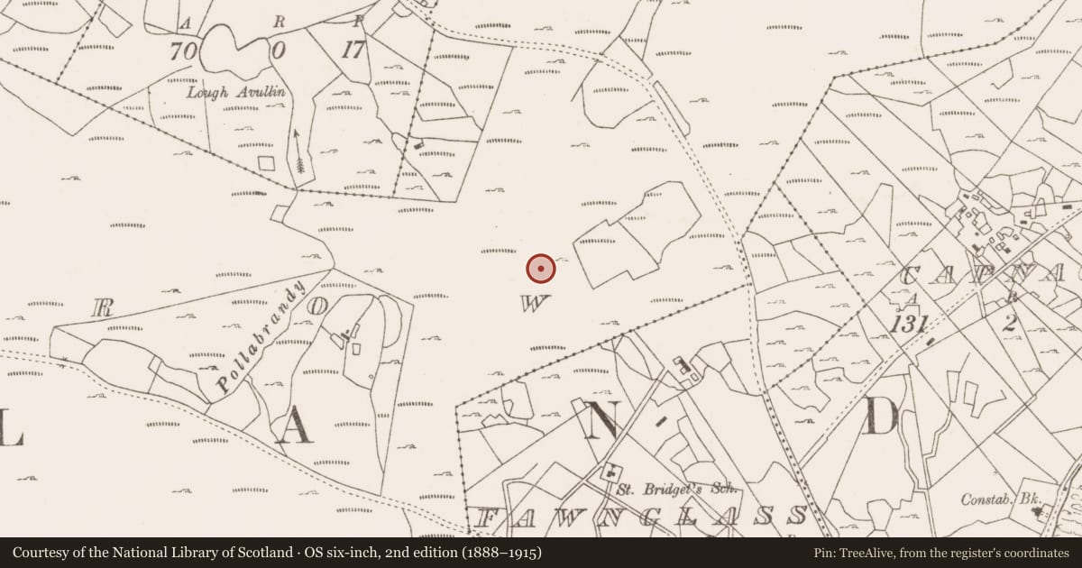 Ordnance Survey six-inch map, 2nd edition (1888–1915) covering the location of Fulacht fia, Lecarrow, County Mayo, with a pin at the register's coordinates