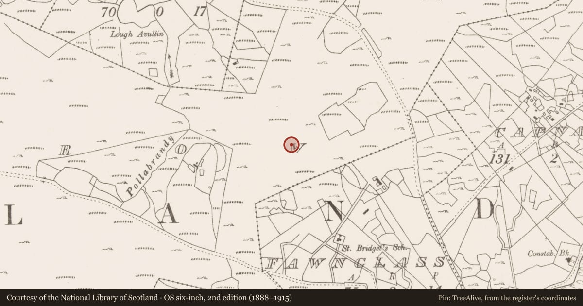 Ordnance Survey six-inch map, 2nd edition (1888–1915) covering the location of Fulacht fia, Lecarrow, County Mayo, with a pin at the register's coordinates