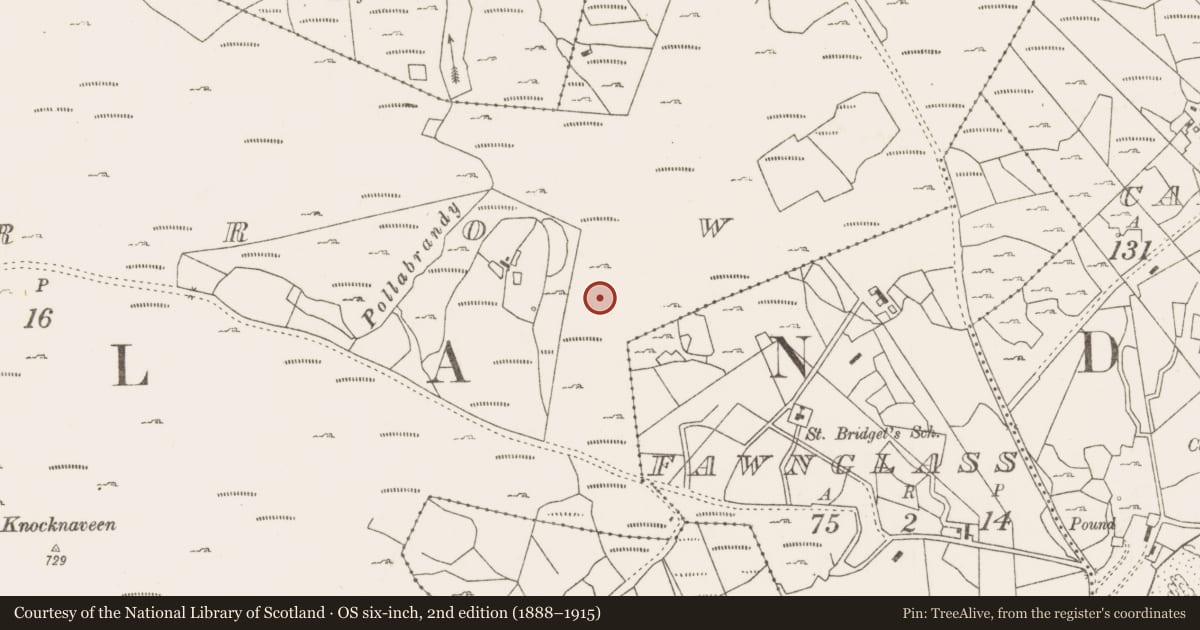 Ordnance Survey six-inch map, 2nd edition (1888–1915) covering the location of Megalithic tomb - court tomb, Lecarrow, County Mayo, with a pin at the register's coordinates