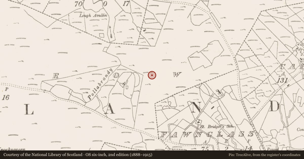 Ordnance Survey six-inch map, 2nd edition (1888–1915) covering the location of Hut site, Lecarrow, County Mayo, with a pin at the register's coordinates