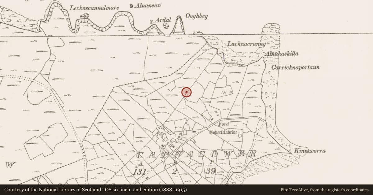 Ordnance Survey six-inch map, 2nd edition (1888–1915) covering the location of Enclosure, Capnagower, County Mayo, with a pin at the register's coordinates