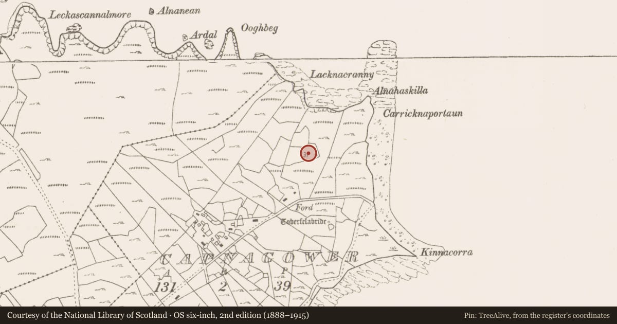 Ordnance Survey six-inch map, 2nd edition (1888–1915) covering the location of House - indeterminate date, Capnagower, County Mayo, with a pin at the register's coordinates
