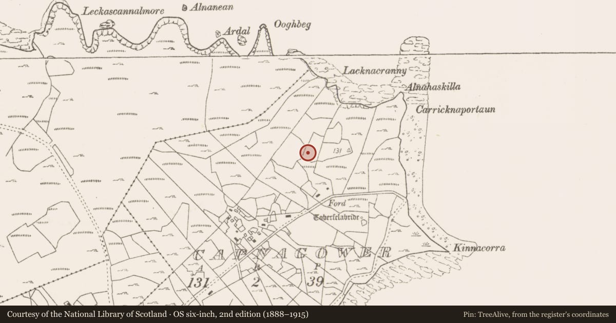 Ordnance Survey six-inch map, 2nd edition (1888–1915) covering the location of House - indeterminate date, Capnagower, County Mayo, with a pin at the register's coordinates
