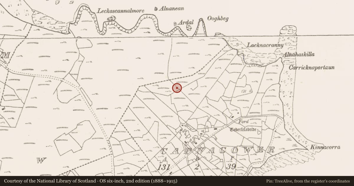 Ordnance Survey six-inch map, 2nd edition (1888–1915) covering the location of Fulacht fia, Capnagower, County Mayo, with a pin at the register's coordinates