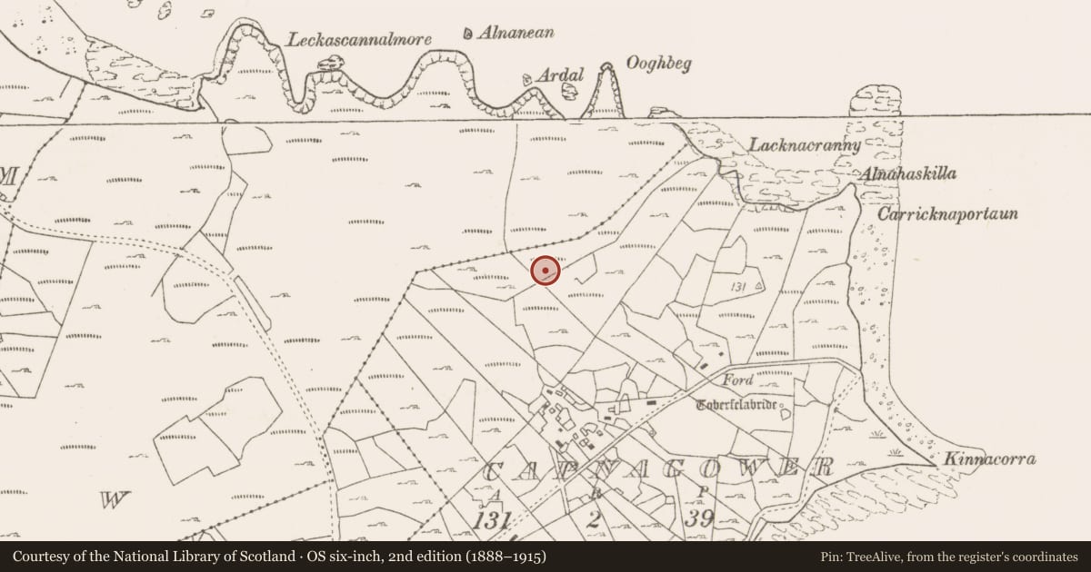 Ordnance Survey six-inch map, 2nd edition (1888–1915) covering the location of Fulacht fia, Capnagower, County Mayo, with a pin at the register's coordinates