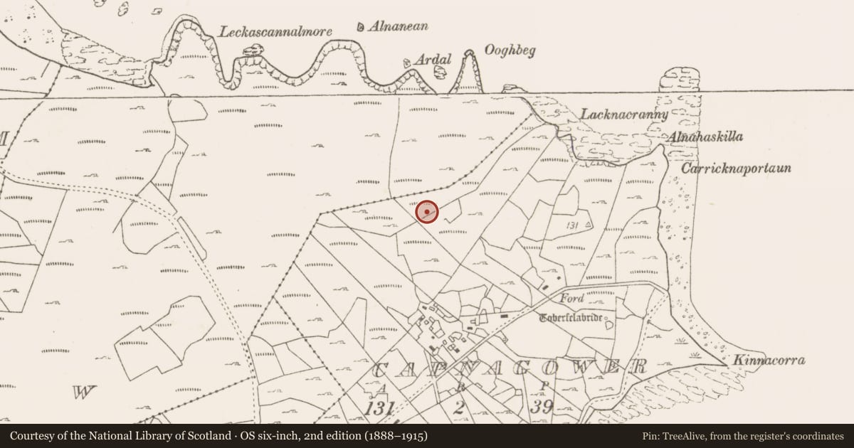 Ordnance Survey six-inch map, 2nd edition (1888–1915) covering the location of Fulacht fia, Capnagower, County Mayo, with a pin at the register's coordinates