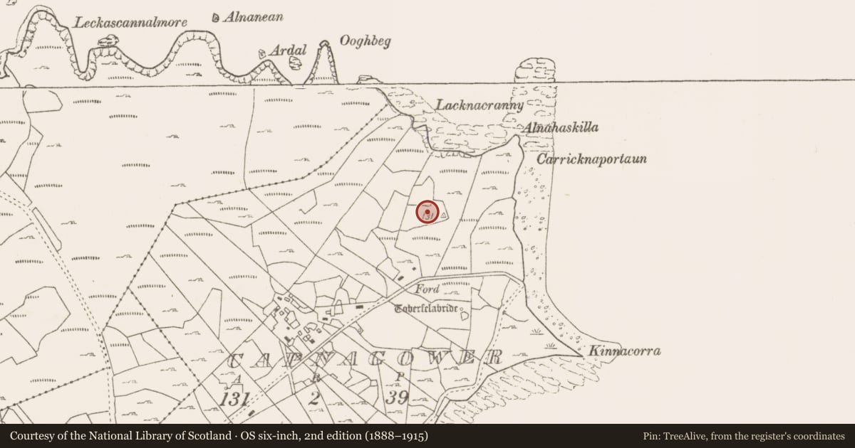 Ordnance Survey six-inch map, 2nd edition (1888–1915) covering the location of Enclosure, Capnagower, County Mayo, with a pin at the register's coordinates