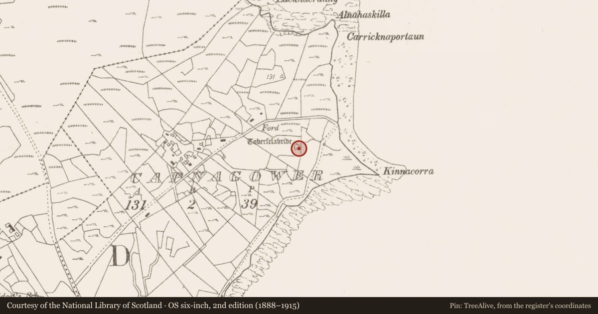 Ordnance Survey six-inch map, 2nd edition (1888–1915) covering the location of Ringfort - cashel, Capnagower, County Mayo, with a pin at the register's coordinates