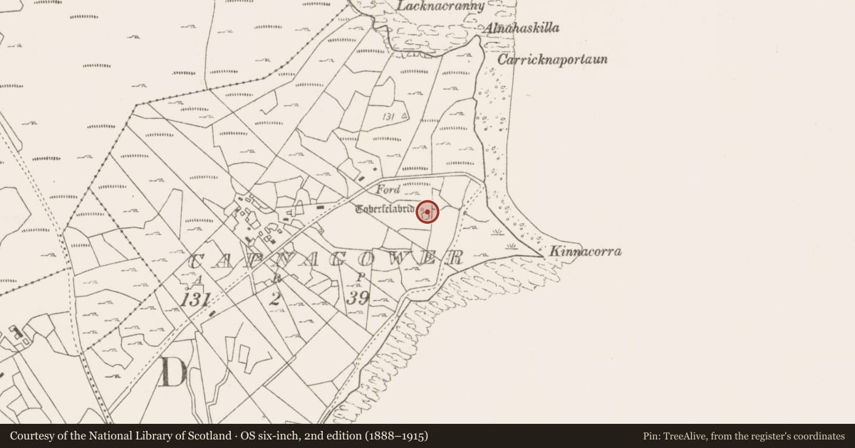 Ordnance Survey six-inch map, 2nd edition (1888–1915) covering the location of Ritual site - holy well, Capnagower, County Mayo, with a pin at the register's coordinates