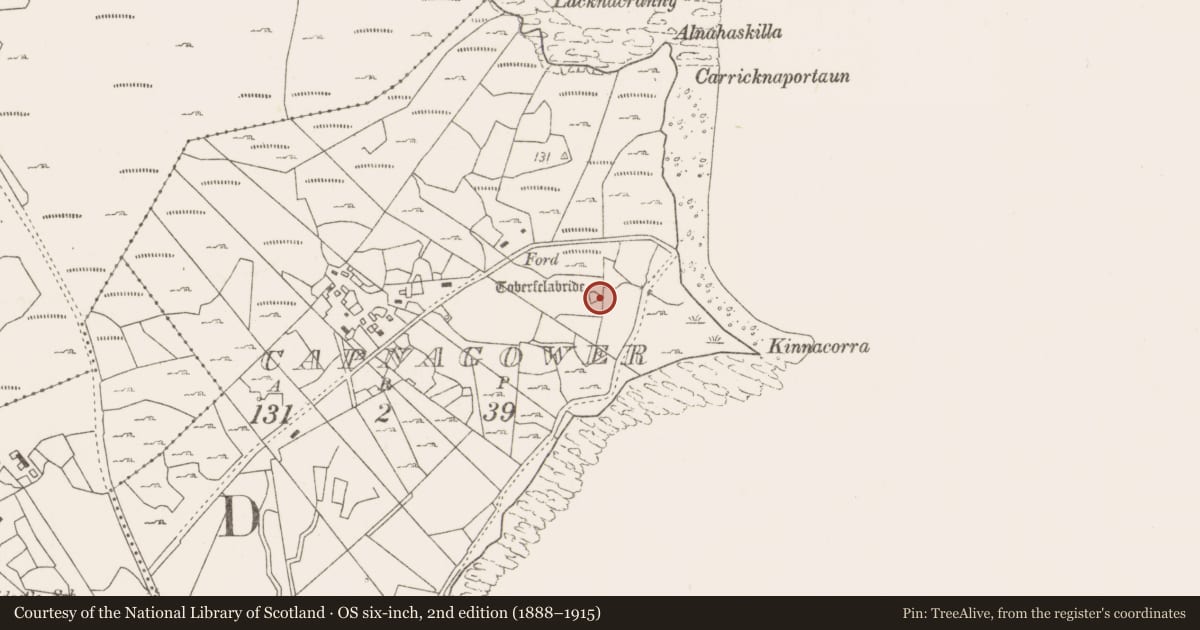 Ordnance Survey six-inch map, 2nd edition (1888–1915) covering the location of Altar, Capnagower, County Mayo, with a pin at the register's coordinates