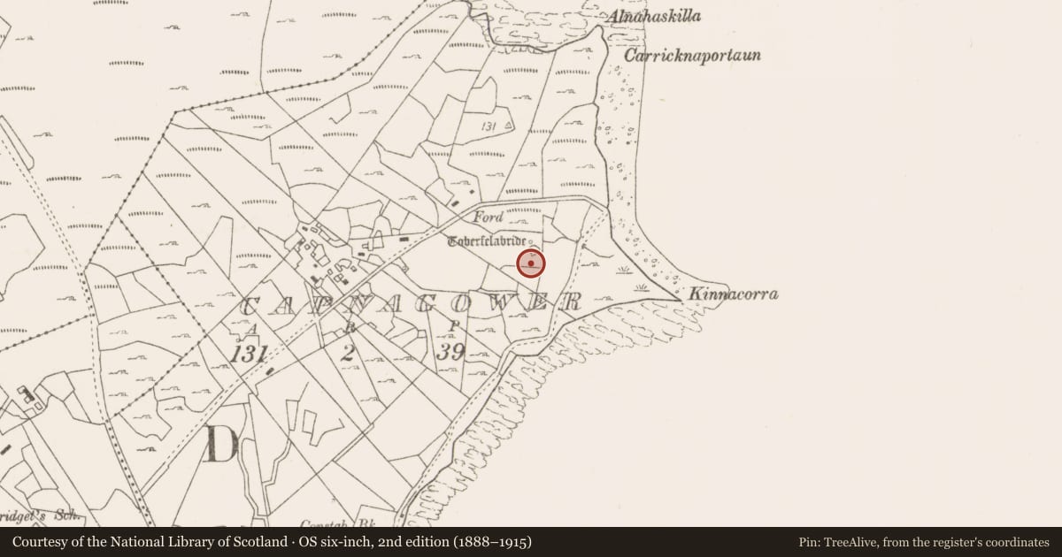 Ordnance Survey six-inch map, 2nd edition (1888–1915) covering the location of Penitential station, Capnagower, County Mayo, with a pin at the register's coordinates
