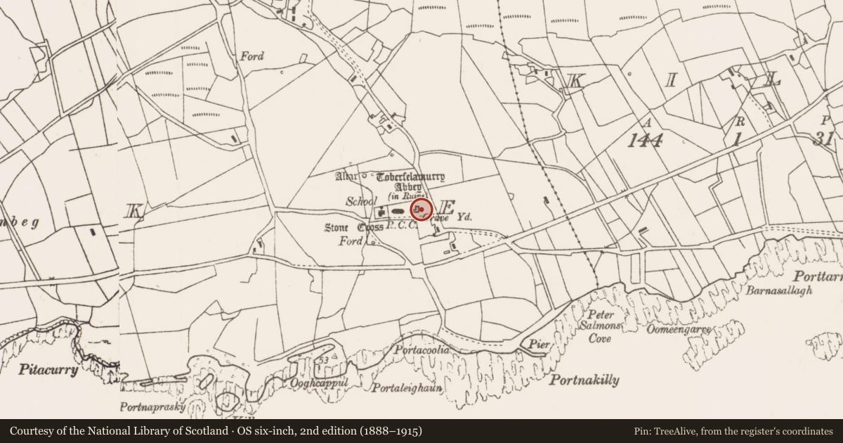 Ordnance Survey six-inch map, 2nd edition (1888–1915) covering the location of Graveyard, Strake, County Mayo, with a pin at the register's coordinates