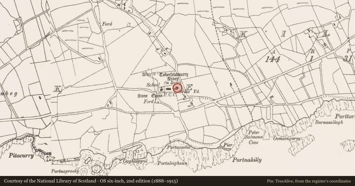 Ordnance Survey six-inch map, 2nd edition (1888–1915) covering the location of Wall monument, Strake, County Mayo, with a pin at the register's coordinates