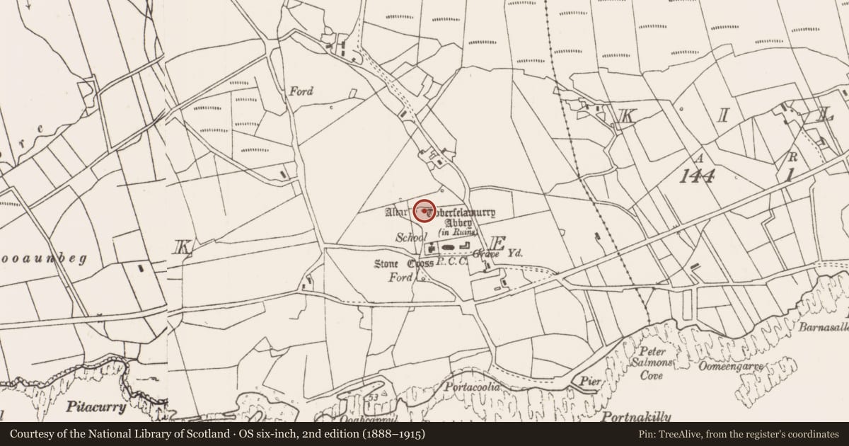 Ordnance Survey six-inch map, 2nd edition (1888–1915) covering the location of Ritual site - holy well, Strake, County Mayo, with a pin at the register's coordinates