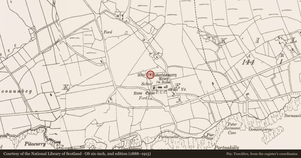 Ordnance Survey six-inch map, 2nd edition (1888–1915) covering the location of Graveslab, Strake, County Mayo, with a pin at the register's coordinates