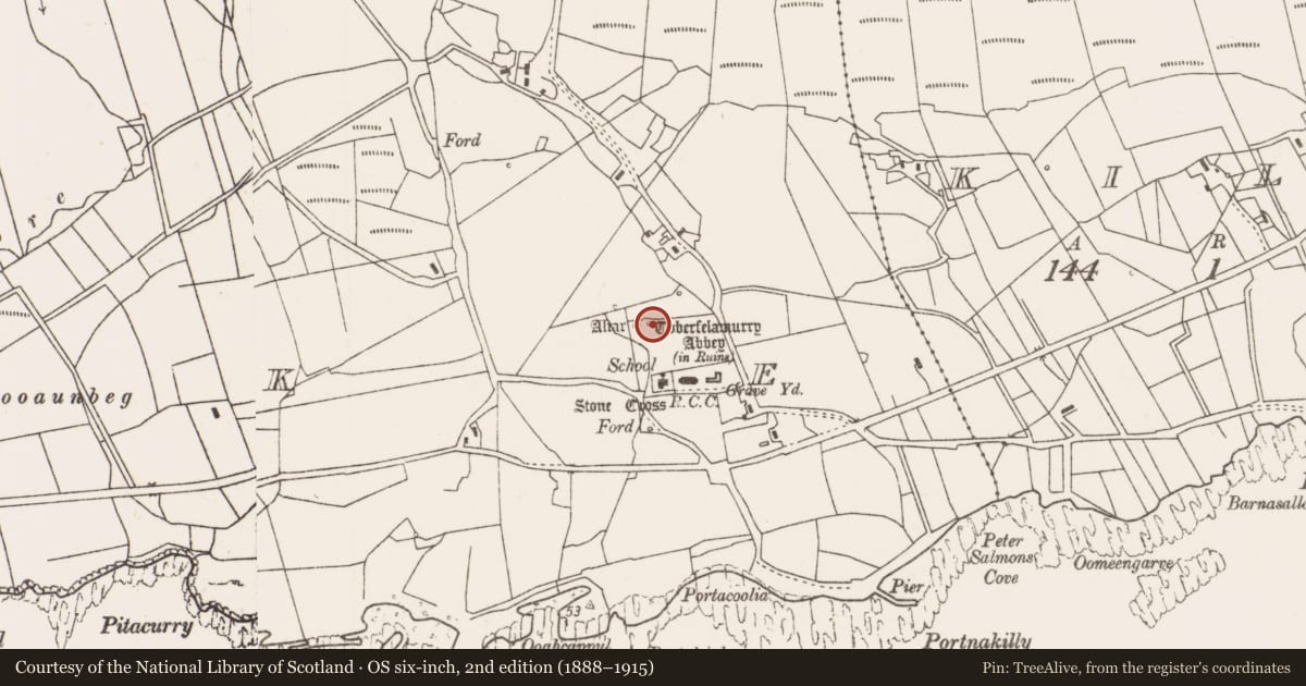Ordnance Survey six-inch map, 2nd edition (1888–1915) covering the location of Enclosure, Strake, County Mayo, with a pin at the register's coordinates