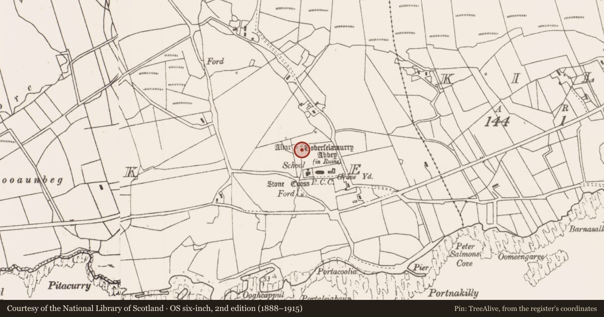 Ordnance Survey six-inch map, 2nd edition (1888–1915) covering the location of Penitential station, Strake, County Mayo, with a pin at the register's coordinates