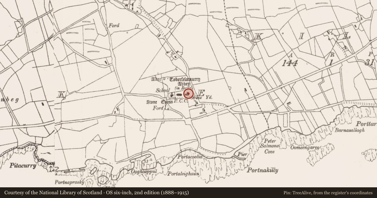 Ordnance Survey six-inch map, 2nd edition (1888–1915) covering the location of Wall monument, Strake, County Mayo, with a pin at the register's coordinates