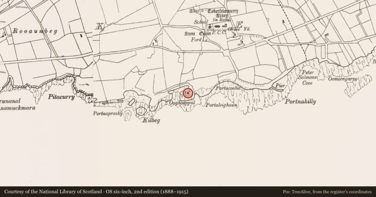 Ordnance Survey six-inch map, 2nd edition (1888–1915) covering the location of Promontory fort - coastal, Strake, County Mayo, with a pin at the register's coordinates