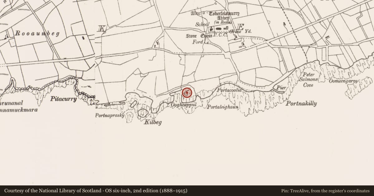 Ordnance Survey six-inch map, 2nd edition (1888–1915) covering the location of Hut site, Strake, County Mayo, with a pin at the register's coordinates