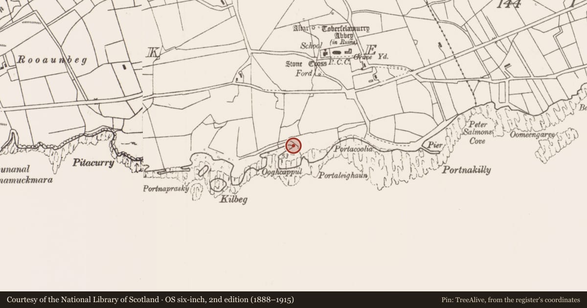 Ordnance Survey six-inch map, 2nd edition (1888–1915) covering the location of Hut site, Strake, County Mayo, with a pin at the register's coordinates