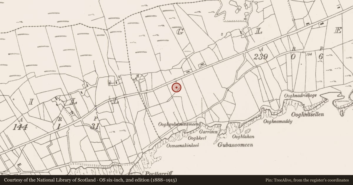 Ordnance Survey six-inch map, 2nd edition (1888–1915) covering the location of Fulacht fia, Glen, County Mayo, with a pin at the register's coordinates