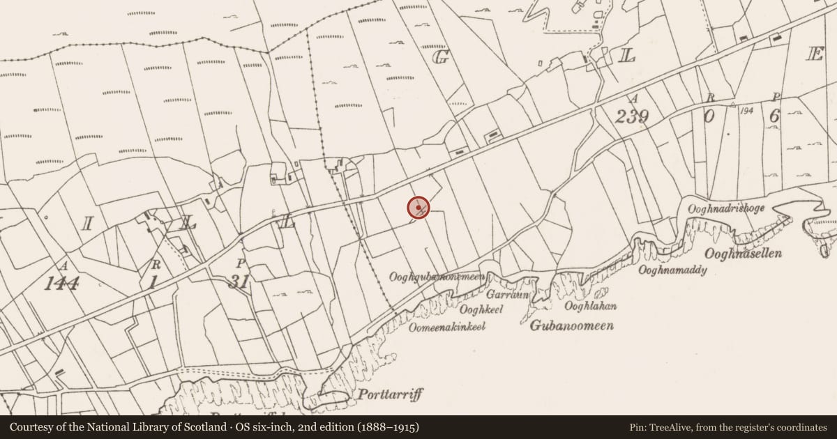 Ordnance Survey six-inch map, 2nd edition (1888–1915) covering the location of Fulacht fia, Glen, County Mayo, with a pin at the register's coordinates