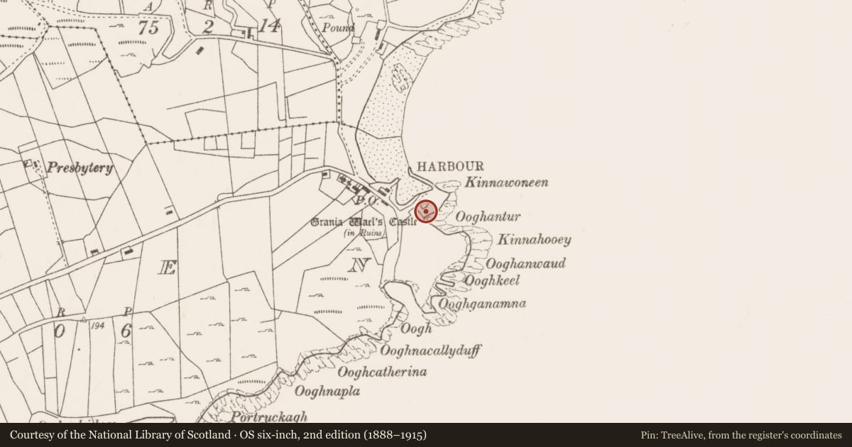 Ordnance Survey six-inch map, 2nd edition (1888–1915) covering the location of Castle - tower house, Glen, County Mayo, with a pin at the register's coordinates