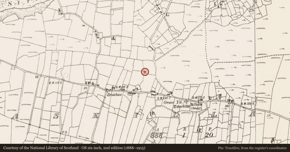 Ordnance Survey six-inch map, 2nd edition (1888–1915) covering the location of Stone row, Askillaun, County Mayo, with a pin at the register's coordinates