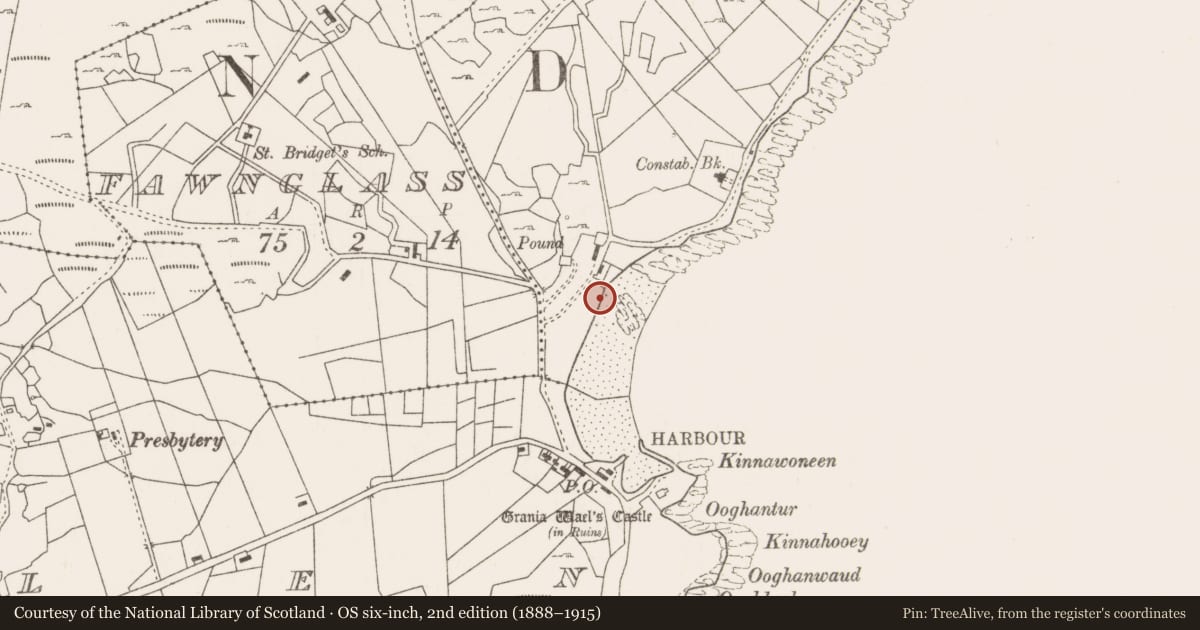 Ordnance Survey six-inch map, 2nd edition (1888–1915) covering the location of Midden, Capnagower, County Mayo, with a pin at the register's coordinates