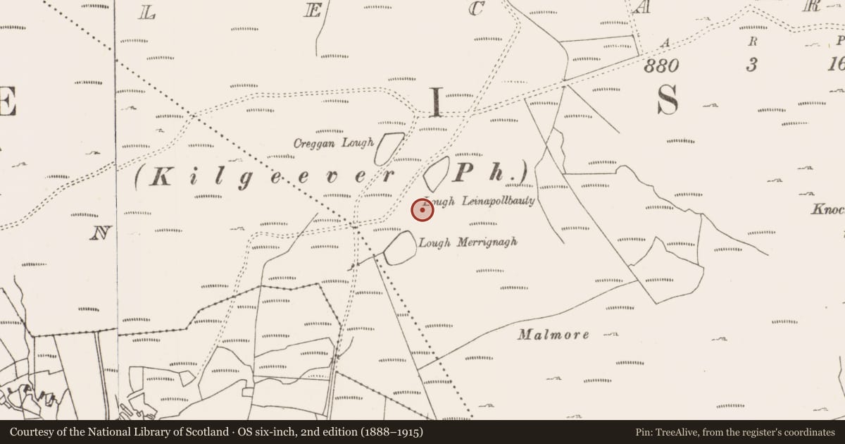 Ordnance Survey six-inch map, 2nd edition (1888–1915) covering the location of Field boundary, Lecarrow, County Mayo, with a pin at the register's coordinates