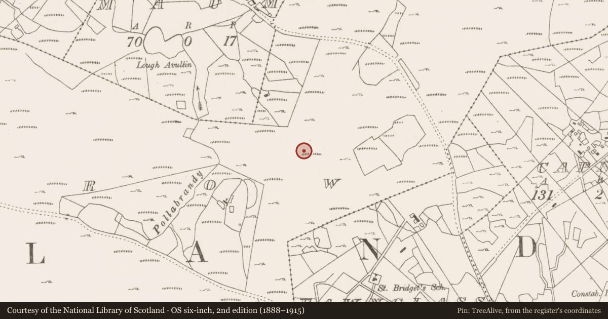Ordnance Survey six-inch map, 2nd edition (1888–1915) covering the location of Field boundary, Lecarrow, County Mayo, with a pin at the register's coordinates