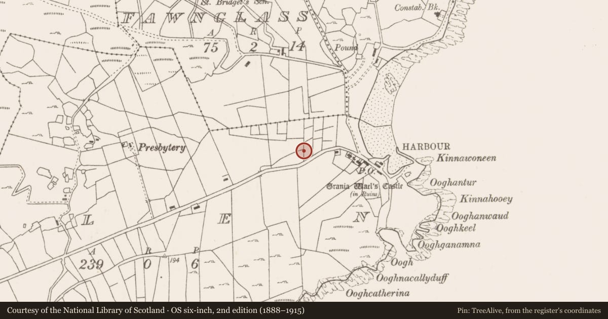 Ordnance Survey six-inch map, 2nd edition (1888–1915) covering the location of Fulacht fia, Glen, County Mayo, with a pin at the register's coordinates