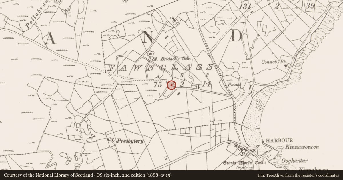 Ordnance Survey six-inch map, 2nd edition (1888–1915) covering the location of Fulacht fia, Fawnglass, County Mayo, with a pin at the register's coordinates