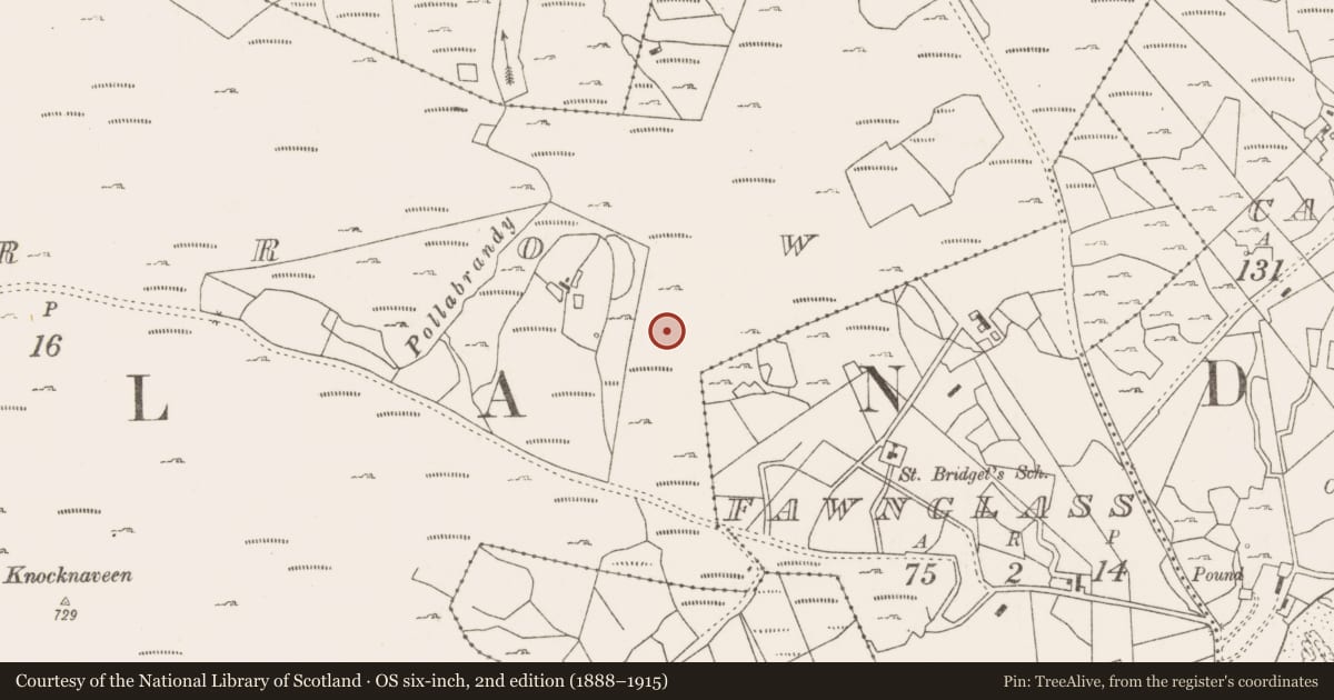 Ordnance Survey six-inch map, 2nd edition (1888–1915) covering the location of Fulacht fia, Lecarrow, County Mayo, with a pin at the register's coordinates