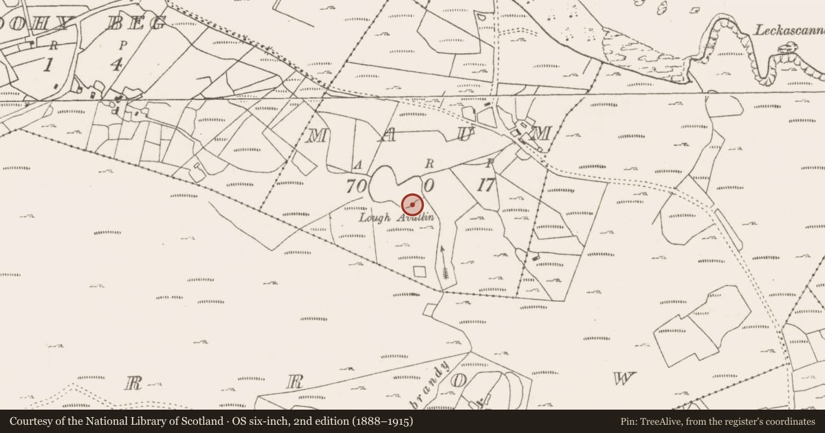 Ordnance Survey six-inch map, 2nd edition (1888–1915) covering the location of Fulacht fia, Maum, County Mayo, with a pin at the register's coordinates