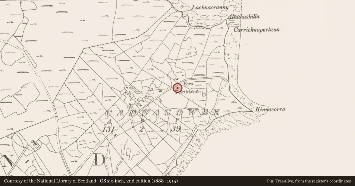 Ordnance Survey six-inch map, 2nd edition (1888–1915) covering the location of Fulacht fia, Capnagower, County Mayo, with a pin at the register's coordinates