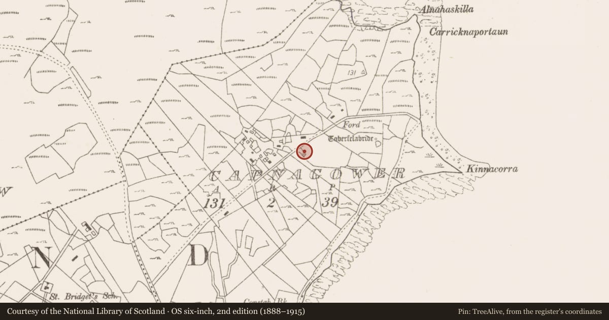Ordnance Survey six-inch map, 2nd edition (1888–1915) covering the location of Fulacht fia, Capnagower, County Mayo, with a pin at the register's coordinates