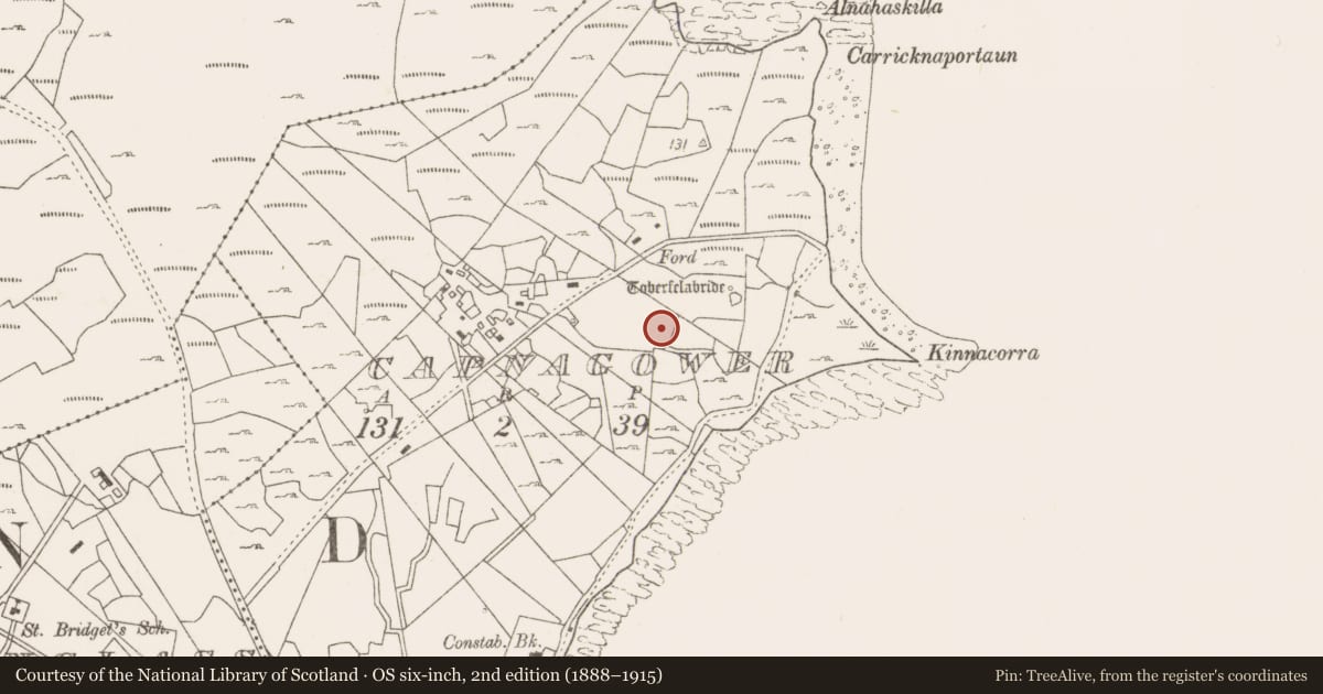 Ordnance Survey six-inch map, 2nd edition (1888–1915) covering the location of Fulacht fia, Capnagower, County Mayo, with a pin at the register's coordinates