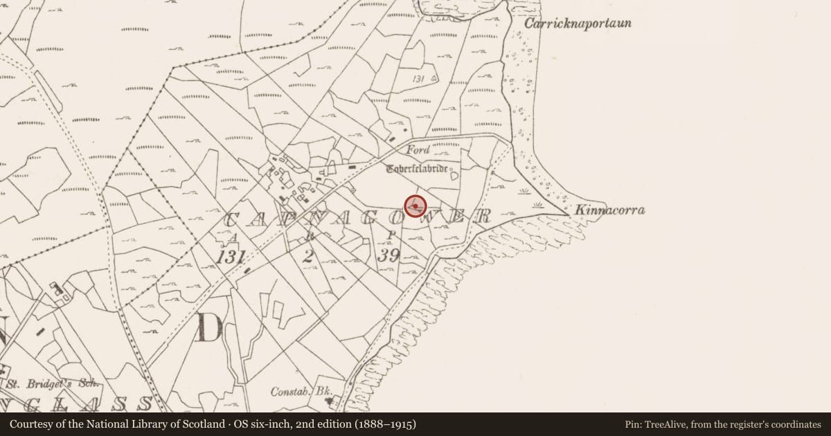 Ordnance Survey six-inch map, 2nd edition (1888–1915) covering the location of Fulacht fia, Capnagower, County Mayo, with a pin at the register's coordinates