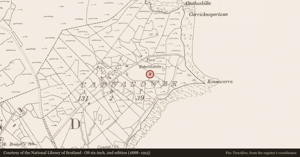 Ordnance Survey six-inch map, 2nd edition (1888–1915) covering the location of Enclosure, Capnagower, County Mayo, with a pin at the register's coordinates