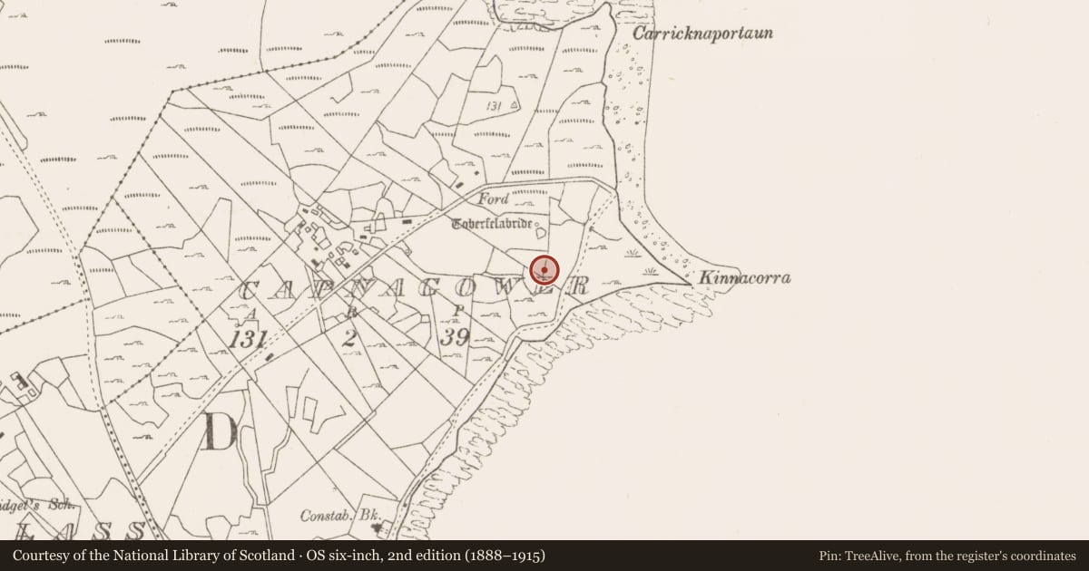 Ordnance Survey six-inch map, 2nd edition (1888–1915) covering the location of Fulacht fia, Capnagower, County Mayo, with a pin at the register's coordinates