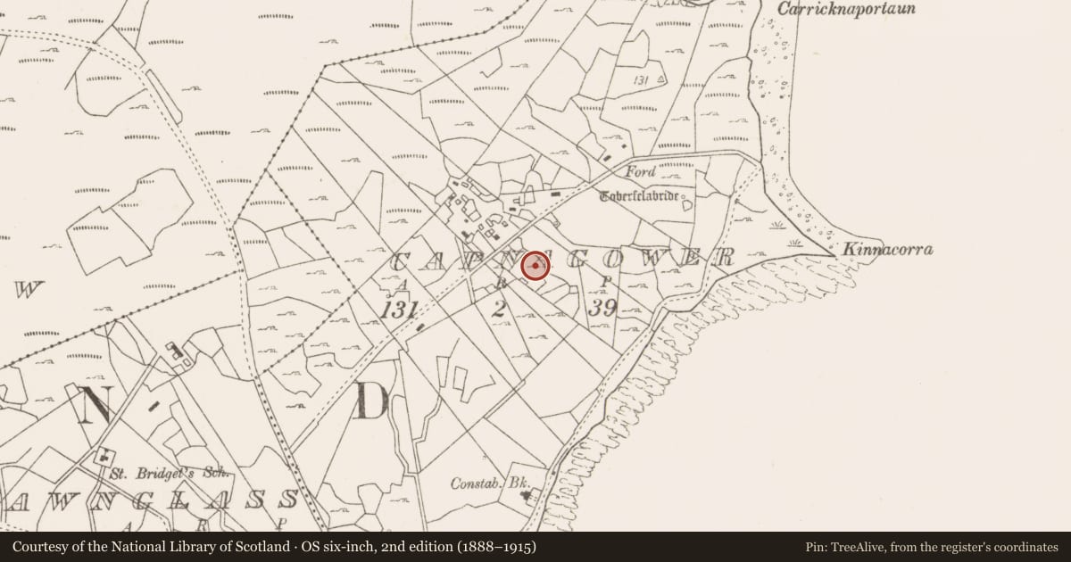 Ordnance Survey six-inch map, 2nd edition (1888–1915) covering the location of Fulacht fia, Capnagower, County Mayo, with a pin at the register's coordinates