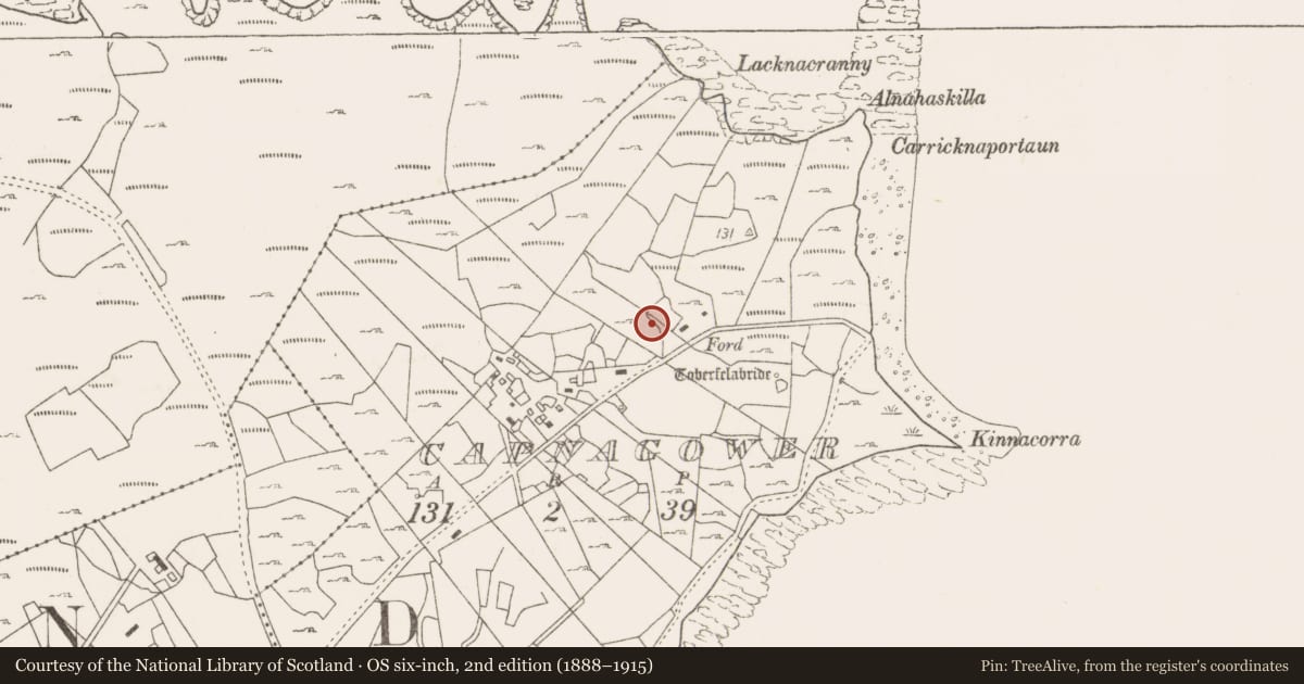 Ordnance Survey six-inch map, 2nd edition (1888–1915) covering the location of Fulacht fia, Capnagower, County Mayo, with a pin at the register's coordinates