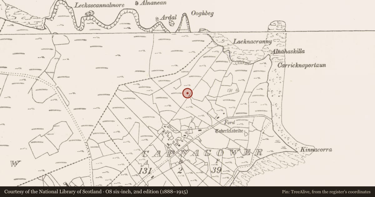 Ordnance Survey six-inch map, 2nd edition (1888–1915) covering the location of Fulacht fia, Capnagower, County Mayo, with a pin at the register's coordinates